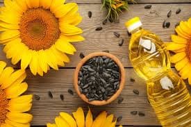 Oil Seeds